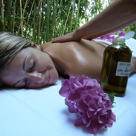Villa Campestri Olive Oil Resort Vicchio Exterior photo