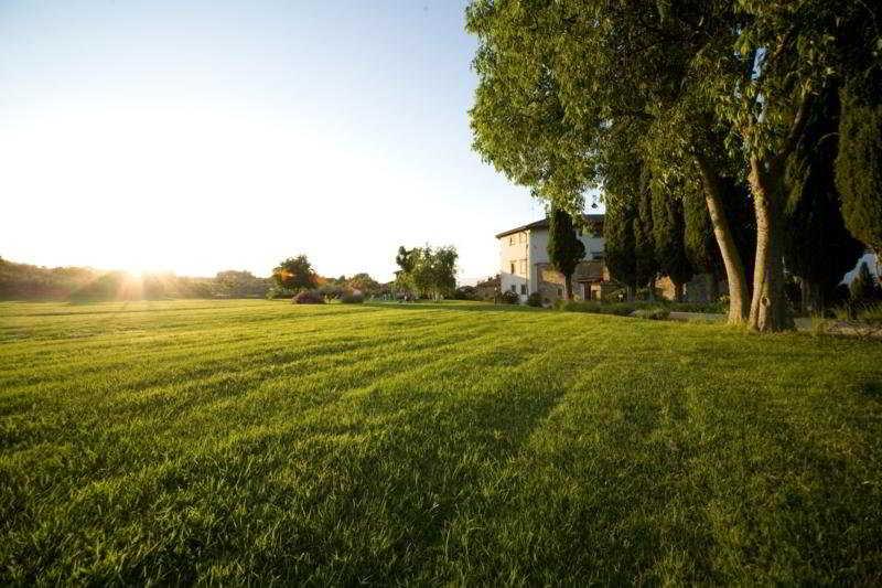 Villa Campestri Olive Oil Resort Vicchio Exterior photo